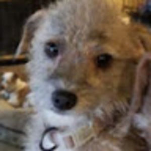 Meet your Posher, Jadyn